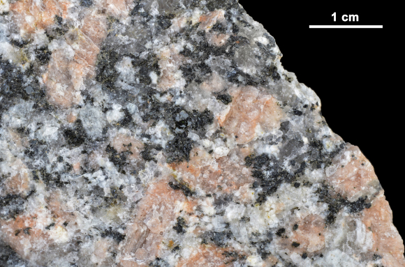 Granite rose (détail avec échelle)